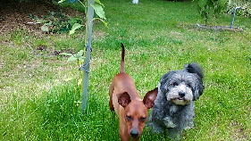 P_20160701_160842_001